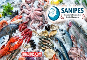 Sanipes: Recomendaciones para reconocer pescados y mariscos frescos al realizar compras Sanipes: Recomendaciones para reconocer pescados y mariscos frescos al realizar compras