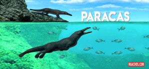 Nuestro mar prehistórico (el día de hoy sigue siendo zona de la megadiversidad marina) Nuestro mar prehistórico (el día de hoy sigue siendo zona de la megadiversidad marina)