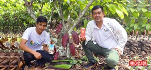 Exportaciones de cacao peruano registraron nuevo récord en el 2024 Exportaciones de cacao peruano registraron nuevo récord en el 2024