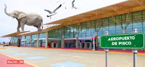 Elefante blanco: el Aeropuerto Internacional de Pisco sigue sin vuelos comerciales Elefante blanco: el Aeropuerto Internacional de Pisco sigue sin vuelos comerciales