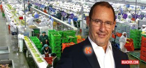 Trabajadores y gremios agrarios advierten aprobación de Ley Chlimper 2.0 Trabajadores y gremios agrarios advierten aprobación de Ley Chlimper 2.0