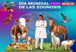 Minsa concientiza a la población sobre las enfermedades transmitidas de animales a humanos Minsa concientiza a la población sobre las enfermedades transmitidas de animales a humanos