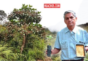 El hombre que quiere plantar el Árbol de la Quina en las plazas de los pueblos El hombre que quiere plantar el Árbol de la Quina en las plazas de los pueblos
