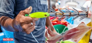 Cuotas de extracción de pota: retos y oportunidades para fortalecer la base científica del manejo pesquero Cuotas de extracción de pota: retos y oportunidades para fortalecer la base científica del manejo pesquero