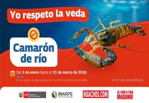 Inician la veda del camarón en los ríos andinos para proteger su reproducción Inician la veda del camarón en los ríos andinos para proteger su reproducción