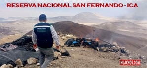 Golpe a la minería ilegal en una Reserva Nacional del departamento de Ica Golpe a la minería ilegal en una Reserva Nacional del departamento de Ica
