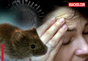 Minsa garantiza vigilancia epidemiológica en aeropuertos y puertos de todo el país | VIDEO Minsa garantiza vigilancia epidemiológica en aeropuertos y puertos de todo el país | VIDEO