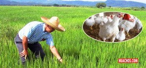 El sector agropecuario experimentó crecimiento del orden de 7.5% en el 2018 El sector agropecuario experimentó crecimiento del orden de 7.5% en el 2018