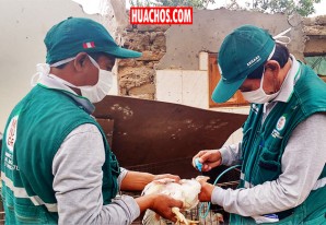 SENASA informa a los consumidores de aves que todo esta bajo control SENASA informa a los consumidores de aves que todo esta bajo control