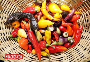 ¿Qué sería de la gastronomía peruana sin sus fabulosos ajíes? ¿Qué sería de la gastronomía peruana sin sus fabulosos ajíes?