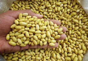 Sería como vender uva a los argentinos, frejol peruano tiene mucho potencial de venta en México Sería como vender uva a los argentinos, frejol peruano tiene mucho potencial de venta en México