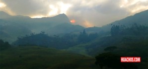 En las últimas 24 horas SERFOR identificó 21 incendios forestales en el país En las últimas 24 horas SERFOR identificó 21 incendios forestales en el país