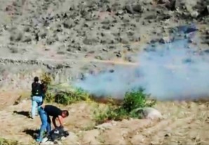 La agricultura en la sierra huancavelicana se diversifica, ahora cultivan marihuana La agricultura en la sierra huancavelicana se diversifica, ahora cultivan marihuana