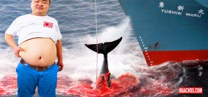 Como todo asiático que se respeta, Japón se quiere comer todo lo que hay en el mar Como todo asiático que se respeta, Japón se quiere comer todo lo que hay en el mar