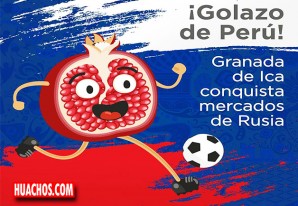 Productores iqueños de granada viven su sueño mundialista y comercializan en mercados emergentes Productores iqueños de granada viven su sueño mundialista y comercializan en mercados emergentes