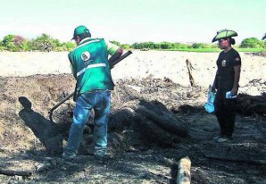 Nasqueños sin escrúpulos hacían carbón con huarangos en hornos clandestinos Nasqueños sin escrúpulos hacían carbón con huarangos en hornos clandestinos