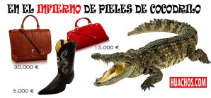 Muchos productos de lujo vienen directamente desde el infierno - VIDEO Muchos productos de lujo vienen directamente desde el infierno - VIDEO