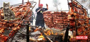Se realizó la «Miaustura» o el festival del gato en honor de la santa etíope Efigenia Se realizó la «Miaustura» o el festival del gato en honor de la santa etíope Efigenia