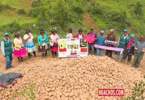 Productores huancavelicanos de Locroja y Tambraico expertos en MIP de la papa Productores huancavelicanos de Locroja y Tambraico expertos en MIP de la papa