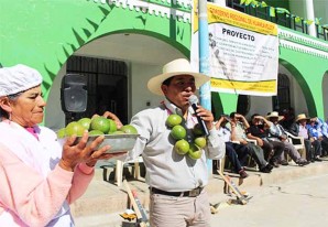 Impulsan el cultivo de sanky en Huaytará con una inversión de S/. 2 millones 500 mil nuevos soles Impulsan el cultivo de sanky en Huaytará con una inversión de S/. 2 millones 500 mil nuevos soles
