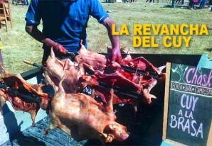El cuy es la estrella incontestable en la Feria Agropecuaria de Chanín El cuy es la estrella incontestable en la Feria Agropecuaria de Chanín