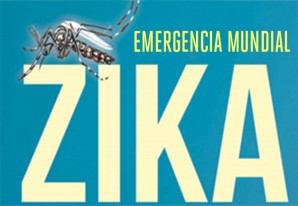 La OMS declara al virus del Zika emergencia sanitaria mundial - VIDEO La OMS declara al virus del Zika emergencia sanitaria mundial - VIDEO