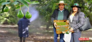 El gobernador regional de Huancavelica Maciste Diaz, pone el arado delante del buey El gobernador regional de Huancavelica Maciste Diaz, pone el arado delante del buey