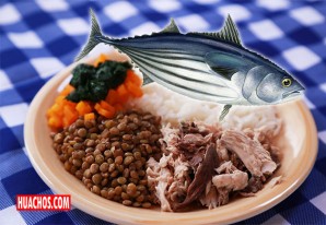 Carne oscura del bonito, potente aliado contra la anemia | VIDEO Carne oscura del bonito, potente aliado contra la anemia | VIDEO