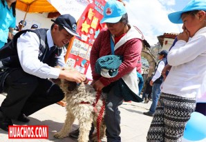 93% de perros huancavelicanos están ya vacunados contra la rabia 93% de perros huancavelicanos están ya vacunados contra la rabia