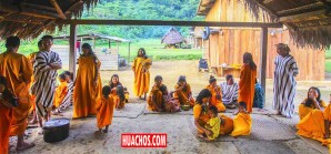 Pueblos originarios conservan celosamente sus bosques con incentivos del Estado Pueblos originarios conservan celosamente sus bosques con incentivos del Estado