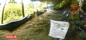 EE.UU. estima que la producción de cocaína en Perú es la más alta en 25 años EE.UU. estima que la producción de cocaína en Perú es la más alta en 25 años