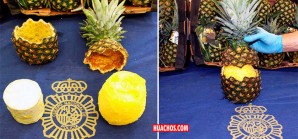 Incautan decenas de kilos de cocaína en el interior de piñas | VIDEO Incautan decenas de kilos de cocaína en el interior de piñas | VIDEO