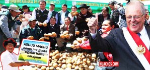 Operación rescate del mercado de la papa sigue viento en popa en Huancavelica Operación rescate del mercado de la papa sigue viento en popa en Huancavelica