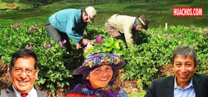 Las soluciones kolynos de PPK para reparar una fractura en el mercado de la papa Las soluciones kolynos de PPK para reparar una fractura en el mercado de la papa