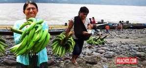 Vender plátanos a Ecuador es como vender «refri» a los esquimales, tienes que ser buenaza Vender plátanos a Ecuador es como vender «refri» a los esquimales, tienes que ser buenaza
