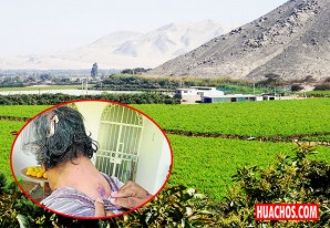 Unos malhechores iqueños fueron por lana y salieron trasquilados Unos malhechores iqueños fueron por lana y salieron trasquilados