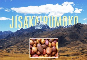 Todas las papas provienen de Jisakairumoko, al sur del Lago Titicaca a 4,150 msnm Todas las papas provienen de Jisakairumoko, al sur del Lago Titicaca a 4,150 msnm
