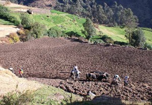 Impulso a la agricultura familiar como modelo agrícola de desarrollo Impulso a la agricultura familiar como modelo agrícola de desarrollo