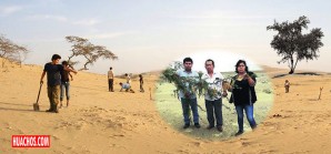 Iqueños buscan sembrar un millón de huarangos en pleno desierto Iqueños buscan sembrar un millón de huarangos en pleno desierto