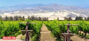 El lado oculto de la agroindustria peruana: Impactos sociales y ambientales El lado oculto de la agroindustria peruana: Impactos sociales y ambientales