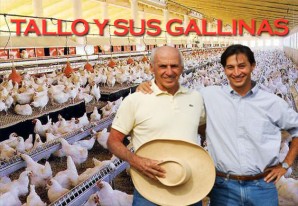 Para este rico empresario sus gallinas son mas importantes que la población chinchana Para este rico empresario sus gallinas son mas importantes que la población chinchana