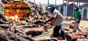 Consumo exponencial del pollo a la brasa está terminando con bosques de algarrobo Consumo exponencial del pollo a la brasa está terminando con bosques de algarrobo