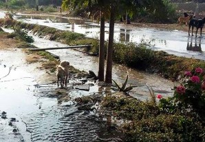 Las aguas de avenida causan inundaciones en los barrios populares de Chincha Las aguas de avenida causan inundaciones en los barrios populares de Chincha