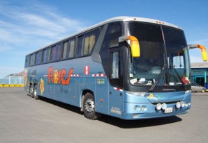 Por segunda vez en una semana, asaltan a pasajeros de ómunibus 'Flores Hnos' Por segunda vez en una semana, asaltan a pasajeros de ómunibus 'Flores Hnos'