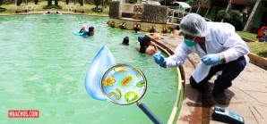 Los “Baños del Inca” son un caldo de cultivo de microbios, bacterias, amebas y otros Los “Baños del Inca” son un caldo de cultivo de microbios, bacterias, amebas y otros