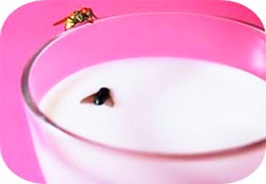 Alo, don Clodo y señores 'Actores Sociales' de Huancavelica: ¡Hay moscas en el vaso de leche! Alo, don Clodo y señores 'Actores Sociales' de Huancavelica: ¡Hay moscas en el vaso de leche!