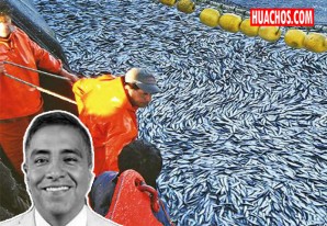 La anchoveta está mejor que nunca este año, pero hay un congresista que está salando todo La anchoveta está mejor que nunca este año, pero hay un congresista que está salando todo