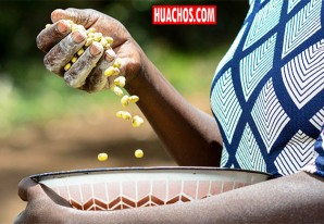 Impulsar la próxima revolución en la alimentación y la agricultura - VIDEO Impulsar la próxima revolución en la alimentación y la agricultura - VIDEO