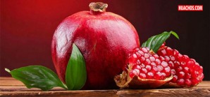 La granada: se despunta como la nueva estrella de las agroexportaciones peruanas La granada: se despunta como la nueva estrella de las agroexportaciones peruanas