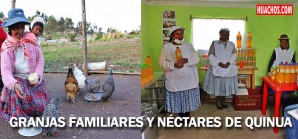 Ideas creativas para mejorar las condiciones de vida en pueblos rurales Ideas creativas para mejorar las condiciones de vida en pueblos rurales